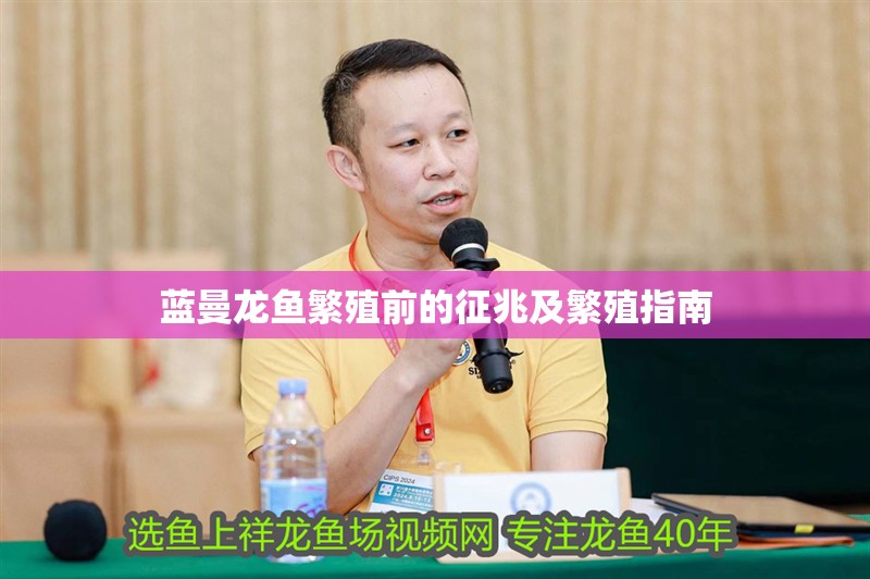 藍曼龍魚繁殖前的征兆及繁殖指南