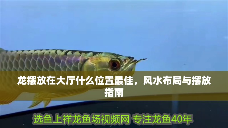 龍擺放在大廳什么位置最佳，風水布局與擺放指南