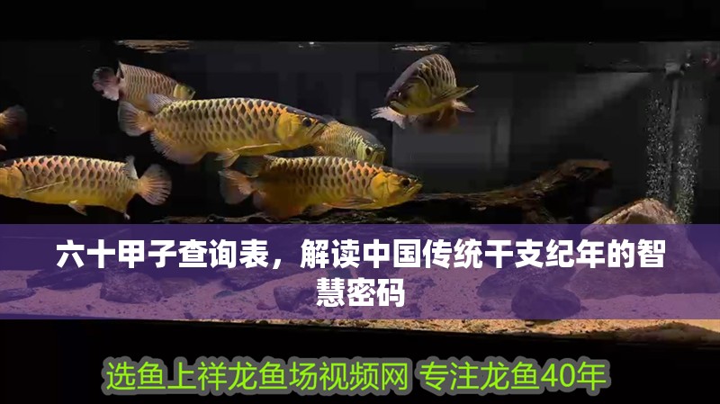 六十甲子查詢表，解讀中國(guó)傳統(tǒng)干支紀(jì)年的智慧密碼
