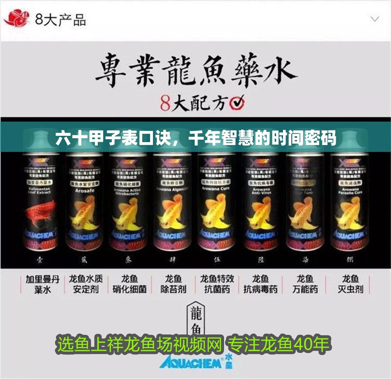 六十甲子表口訣，千年智慧的時間密碼