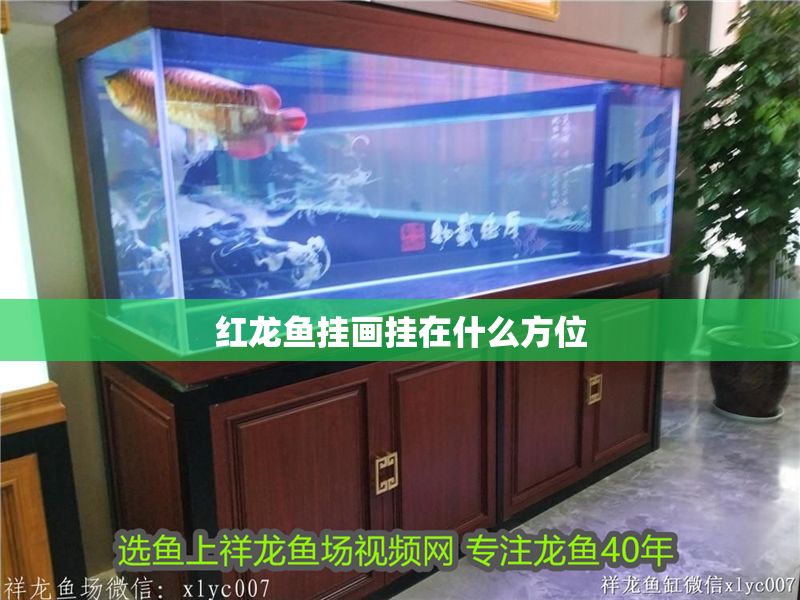 紅龍魚掛畫掛在什么方位