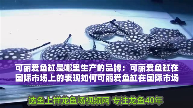 可麗愛魚缸是哪里生產(chǎn)的品牌：可麗愛魚缸在國(guó)際市場(chǎng)上的表現(xiàn)如何可麗愛魚缸在國(guó)際市場(chǎng)上的表現(xiàn)