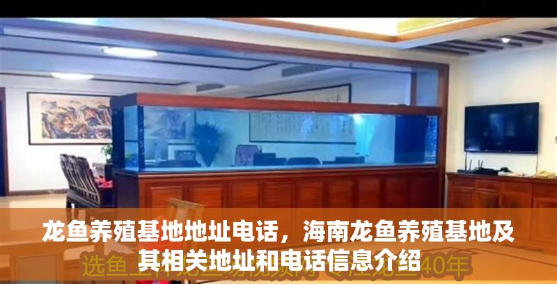 龍魚養殖基地地址電話，海南龍魚養殖基地及其相關地址和電話信息介紹
