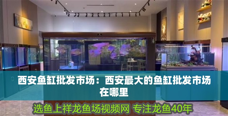 西安魚缸批發(fā)市場：西安最大的魚缸批發(fā)市場在哪里