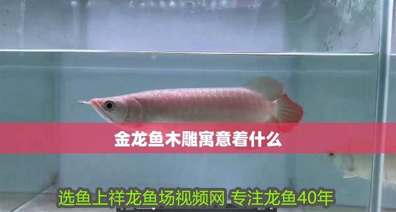 金龍魚木雕寓意著什么