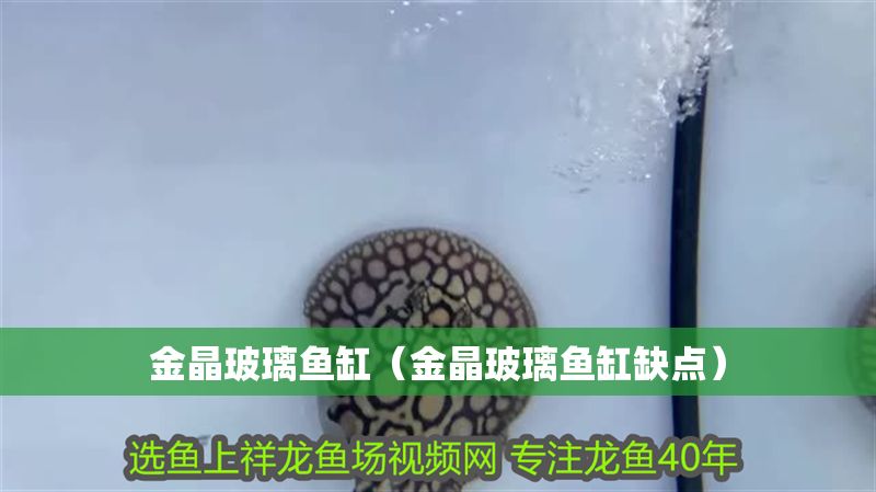 金晶玻璃魚缸（金晶玻璃魚缸缺點(diǎn)）