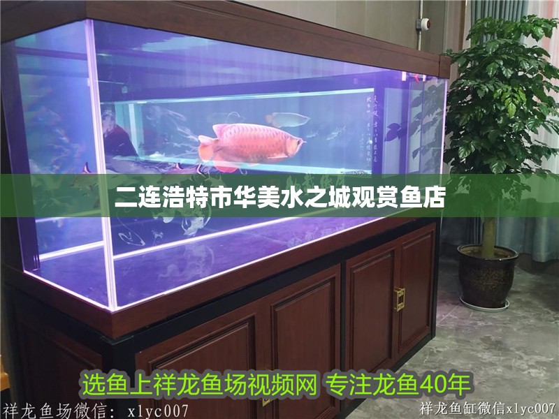 二連浩特市華美水之城觀賞魚店 全國水族館企業名錄 第1張 二連浩特市華美水之城觀賞魚店 二連浩特市華美水之城觀賞魚店 全國水族館企業名錄 第1張