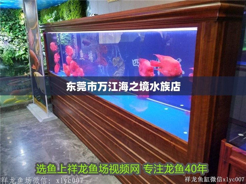 東莞市萬江海之境水族店