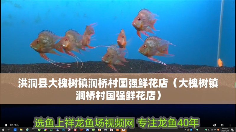 洪洞縣大槐樹鎮澗橋村國強鮮花店（大槐樹鎮澗橋村國強鮮花店）