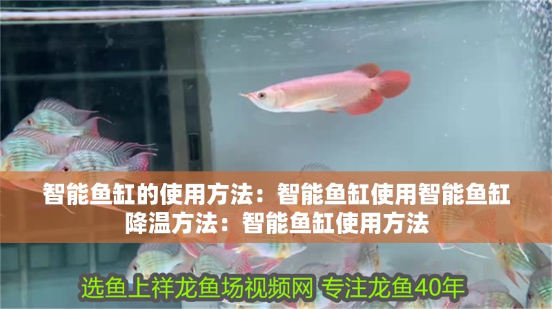 智能魚缸的使用方法：智能魚缸使用智能魚缸降溫方法：智能魚缸使用方法 智能魚缸的使用方法：智能魚缸使用智能魚缸降溫方法：智能魚缸使用方法 魚缸百科