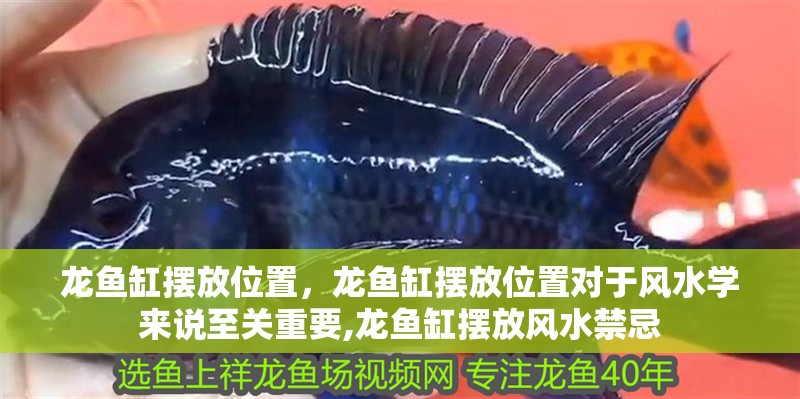 龍魚缸擺放位置，龍魚缸擺放位置對于風水學來說至關(guān)重要,龍魚缸擺放風水禁忌
