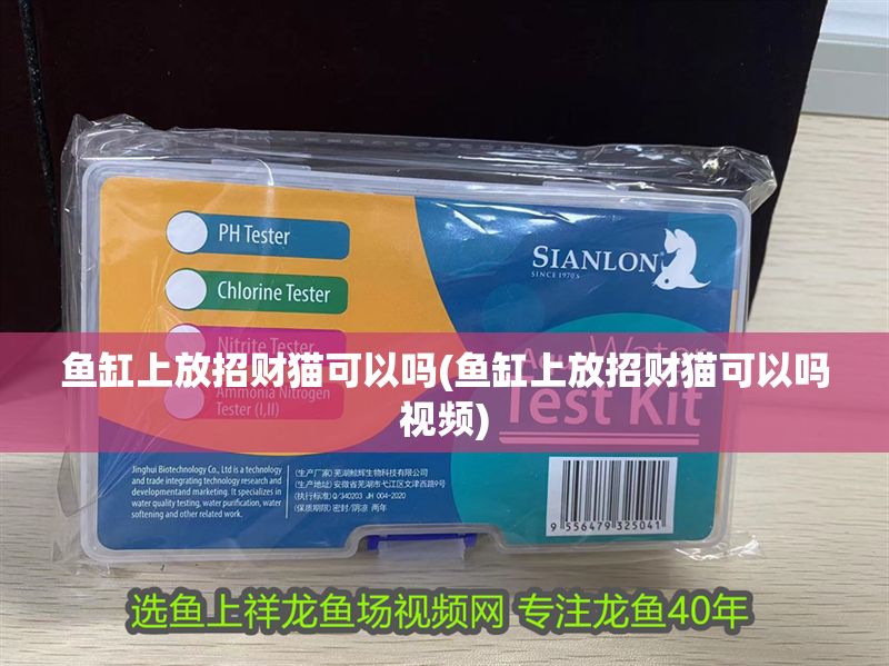 魚缸上放招財貓可以嗎(魚缸上放招財貓可以嗎視頻)