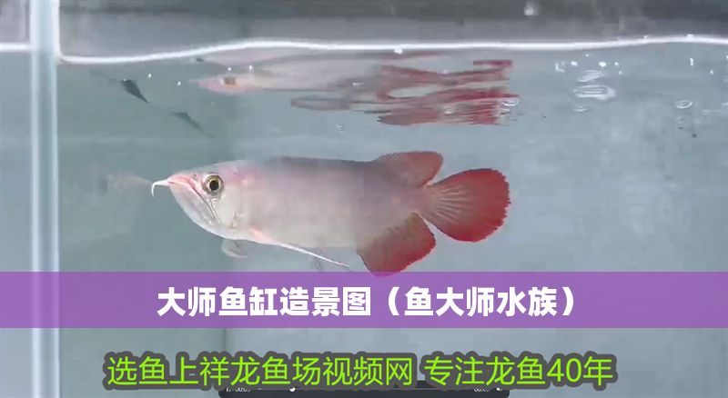 大師魚缸造景圖（魚大師水族） 大師魚缸造景圖（魚大師水族） 龍魚百科 第1張