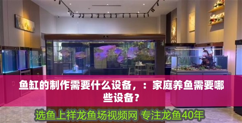 魚缸的制作需要什么設備，：家庭養魚需要哪些設備？