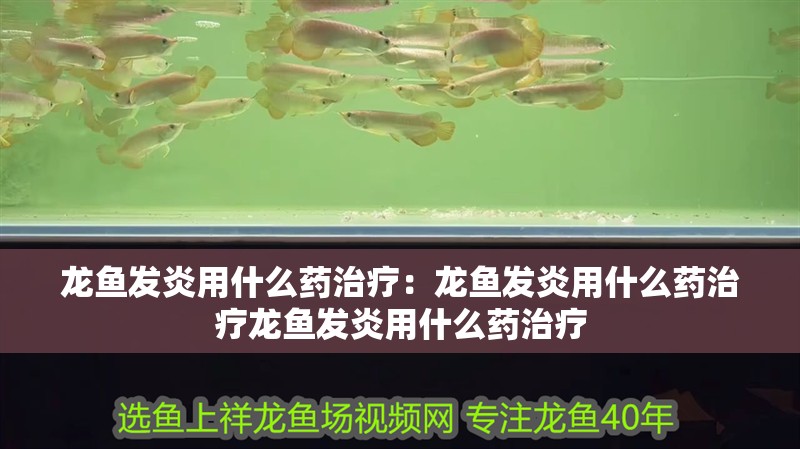 龍魚發炎用什么藥治療：龍魚發炎用什么藥治療龍魚發炎用什么藥治療