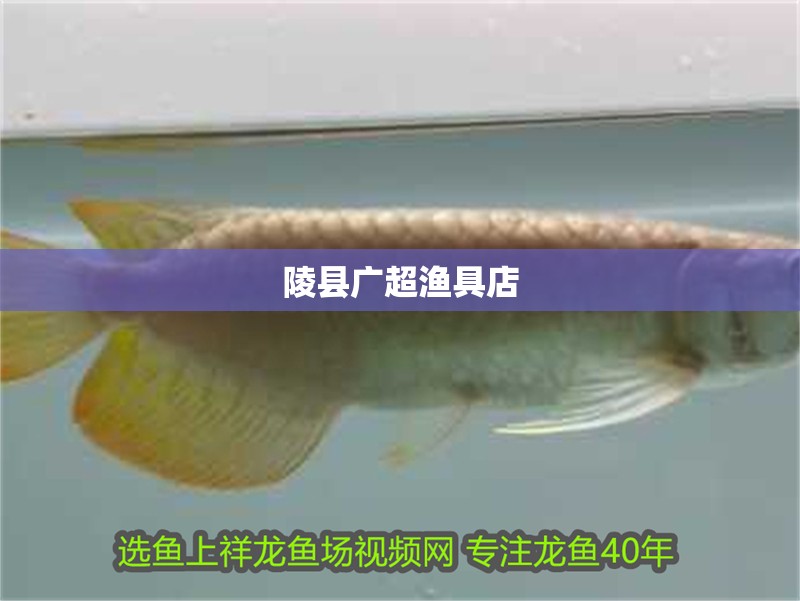 陵縣廣超漁具店