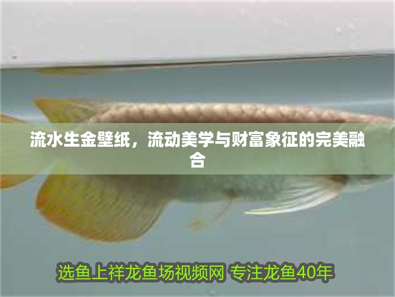 流水生金壁紙，流動美學與財富象征的完美融合