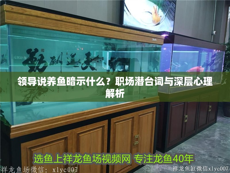 領(lǐng)導(dǎo)說養(yǎng)魚暗示什么？職場潛臺詞與深層心理解析
