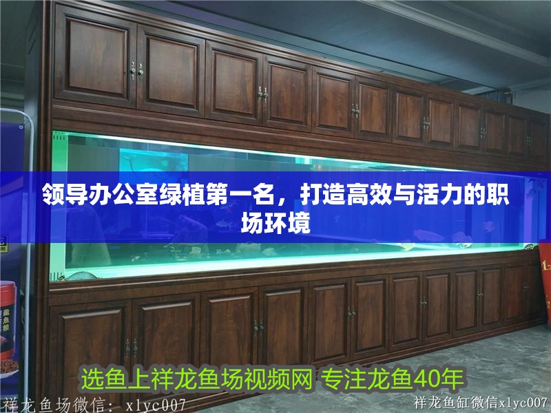 領導辦公室綠植第一名，打造高效與活力的職場環境