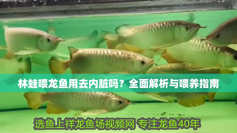 林蛙喂龍魚用去內臟嗎？全面解析與喂養指南
