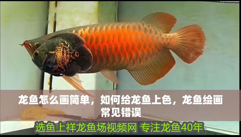 龍魚怎么畫簡單，如何給龍魚上色，龍魚繪畫常見錯誤