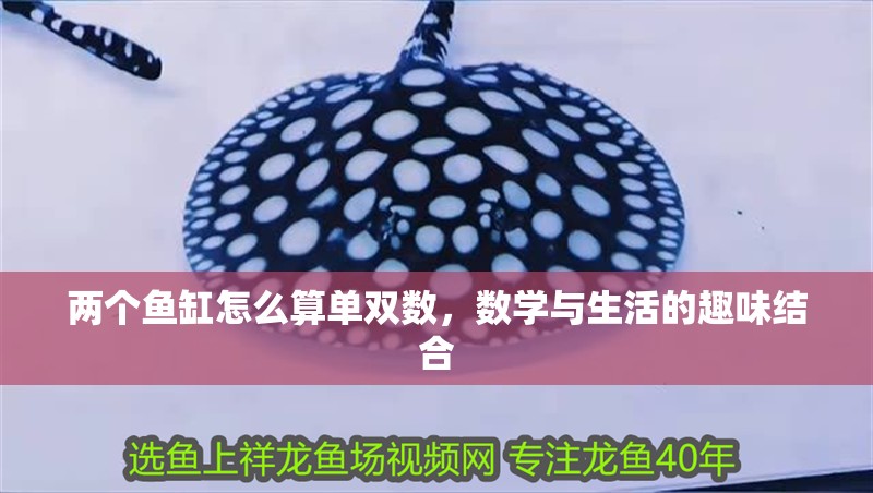 兩個魚缸怎么算單雙數，數學與生活的趣味結合