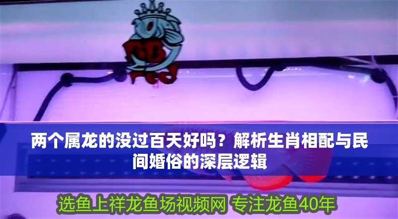 兩個屬龍的沒過百天好嗎？解析生肖相配與民間婚俗的深層邏輯