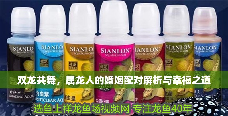 雙龍共舞，屬龍人的婚姻配對解析與幸福之道