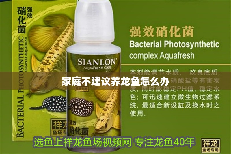 家庭不建議養龍魚怎么辦 家庭不建議養龍魚怎么辦 龍魚百科 第1張