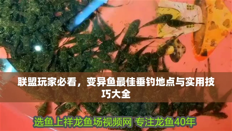 聯盟玩家必看，變異魚最佳垂釣地點與實用技巧大全