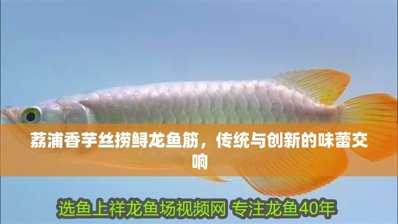 荔浦香芋絲撈鱘龍魚筋，傳統與創新的味蕾交響