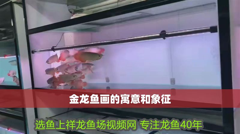 金龍魚畫的寓意和象征