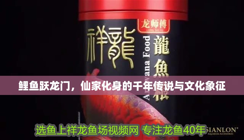 鯉魚躍龍門，仙家化身的千年傳說與文化象征