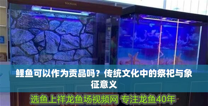 鯉魚可以作為貢品嗎？傳統文化中的祭祀與象征意義