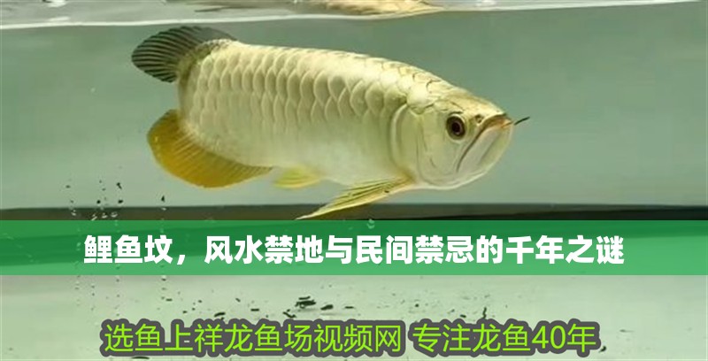 鯉魚墳，風水禁地與民間禁忌的千年之謎