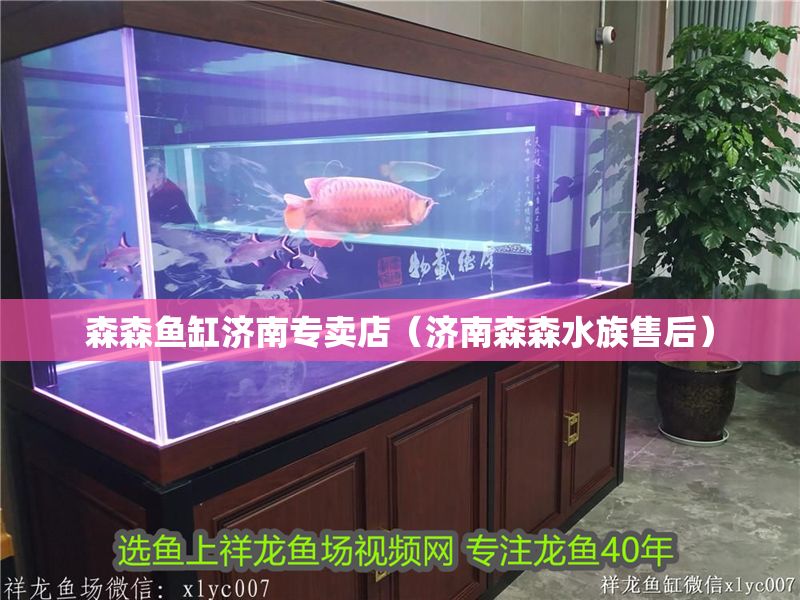森森魚缸濟南專賣店（濟南森森水族售后）