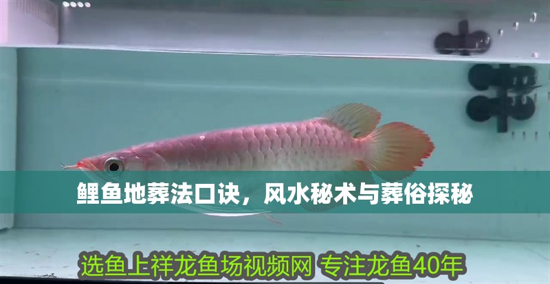 鯉魚地葬法口訣，風(fēng)水秘術(shù)與葬俗探秘