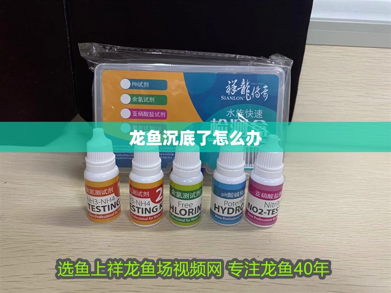 龍魚沉底了怎么辦