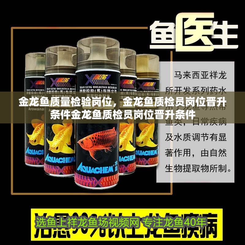 金龍魚質量檢驗崗位，金龍魚質檢員崗位晉升條件金龍魚質檢員崗位晉升條件