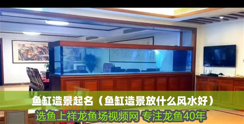 魚缸造景起名（魚缸造景放什么風水好）