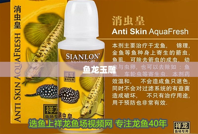 魚龍玉雕 龍魚百科 第1張 魚龍玉雕 魚龍玉雕 龍魚百科 第1張