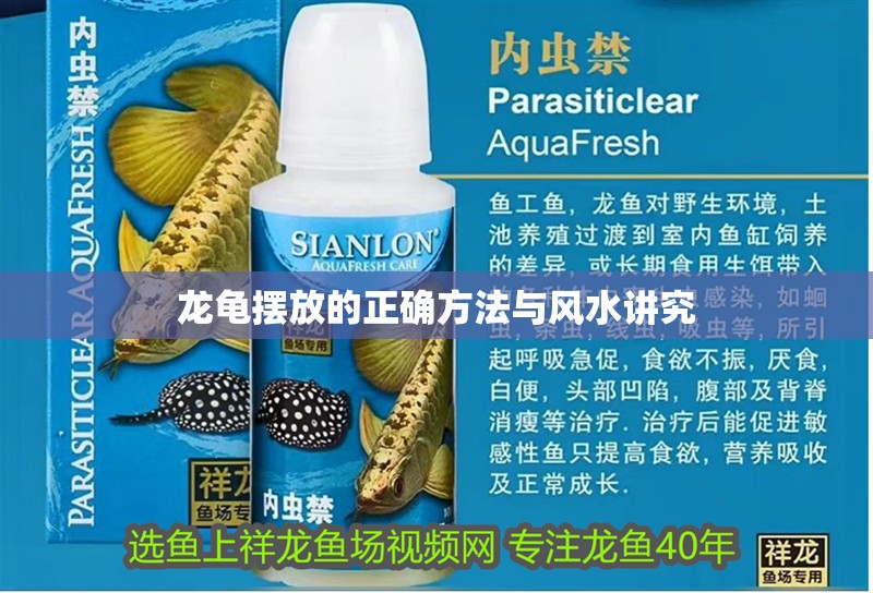 龍龜擺放的正確方法與風(fēng)水講究