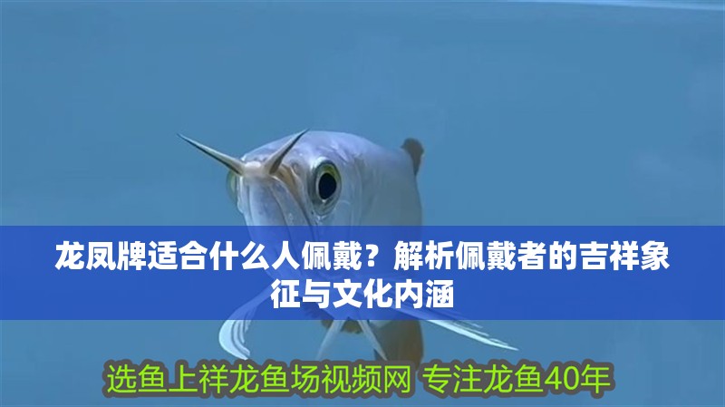 龍鳳牌適合什么人佩戴？解析佩戴者的吉祥象征與文化內涵