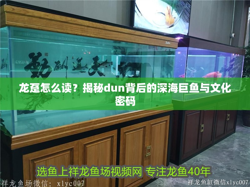 龍躉怎么讀？揭秘dun背后的深海巨魚與文化密碼