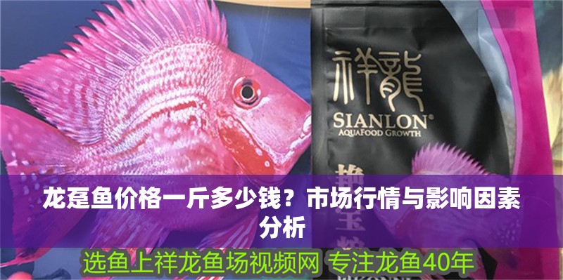 龍躉魚價格一斤多少錢？市場行情與影響因素分析