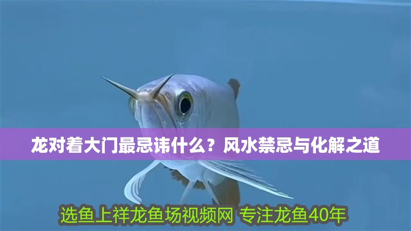 龍對(duì)著大門(mén)最忌諱什么？風(fēng)水禁忌與化解之道