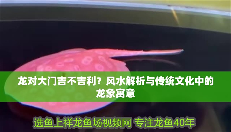 龍對(duì)大門吉不吉利？風(fēng)水解析與傳統(tǒng)文化中的龍象寓意