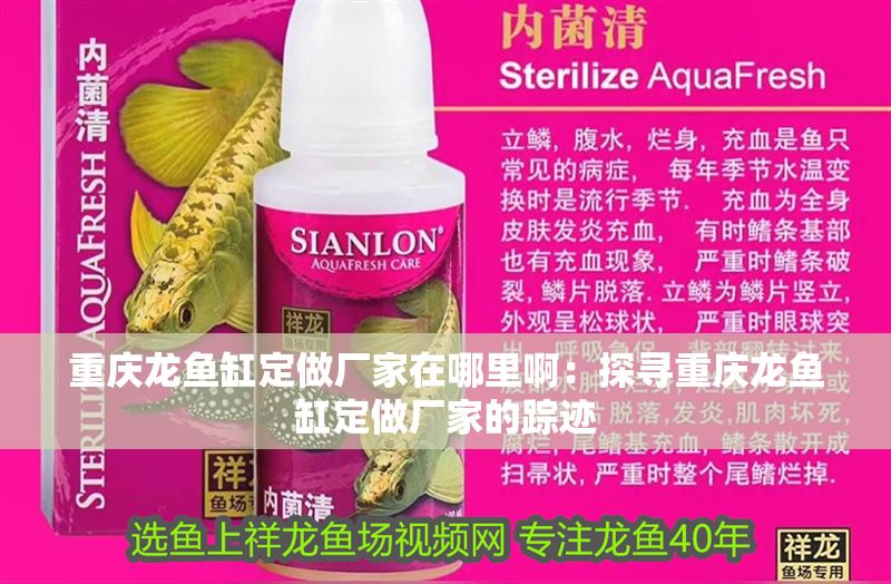 重慶龍魚缸定做廠家在哪里啊：探尋重慶龍魚缸定做廠家的蹤跡