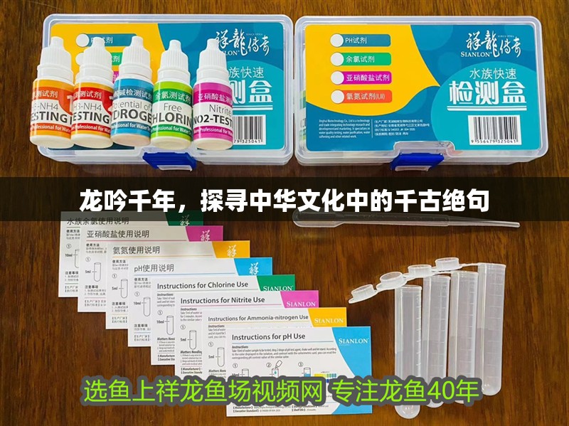龍吟千年，探尋中華文化中的千古絕句 龍吟千年，探尋中華文化中的千古絕句 龍魚百科 第1張