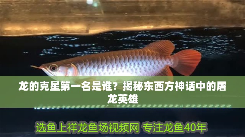 龍的克星第一名是誰？揭秘東西方神話中的屠龍英雄